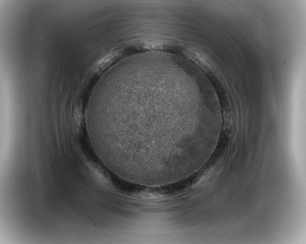 X0000087050648200704181238
