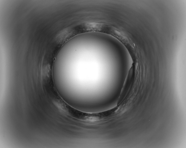 X0000087050649200704181238