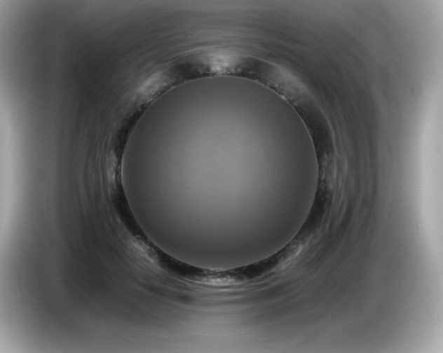 X0000087050650200704181238