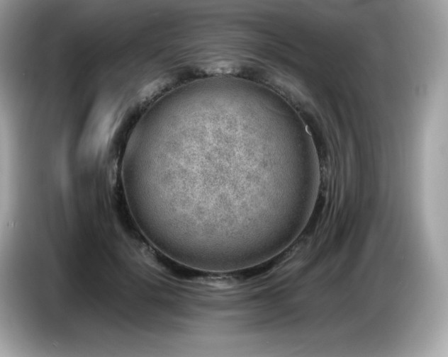 X0000087050652200704181238