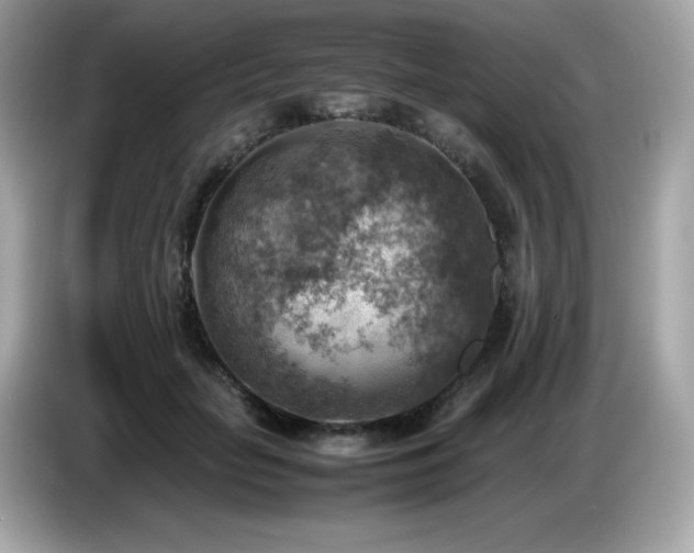 X0000087050653200704181238