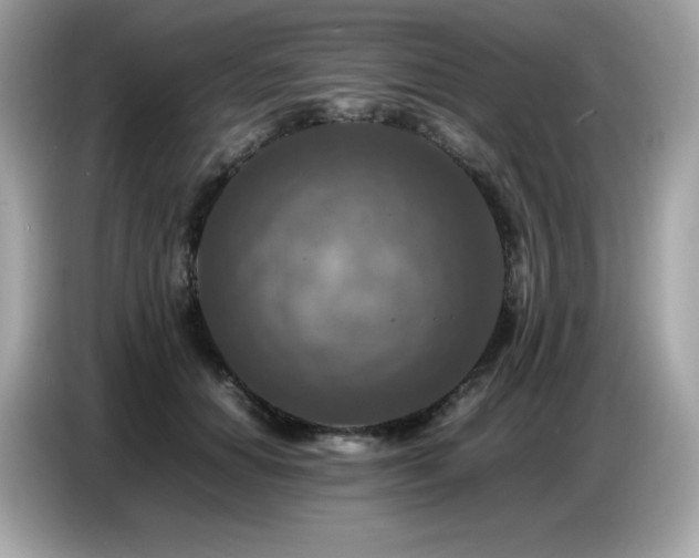 X0000087050654200704181238