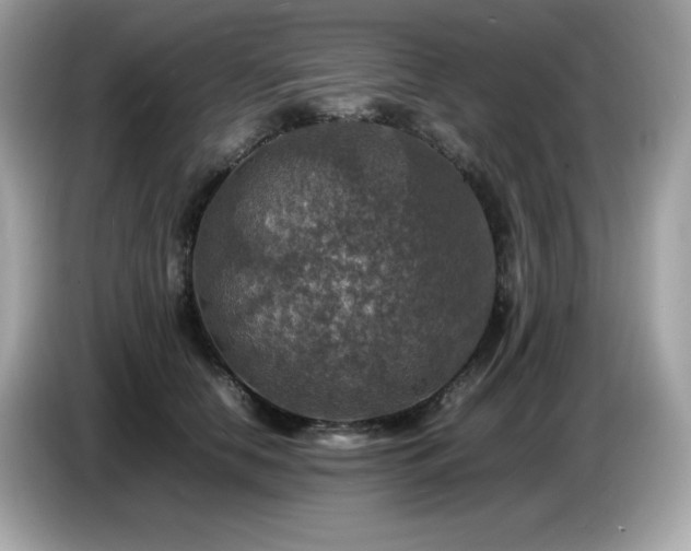 X0000087050658200704181238