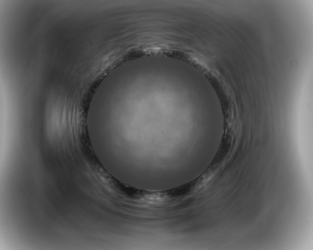 X0000087050659200704181238