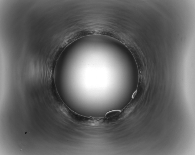 X0000087050660200704181238