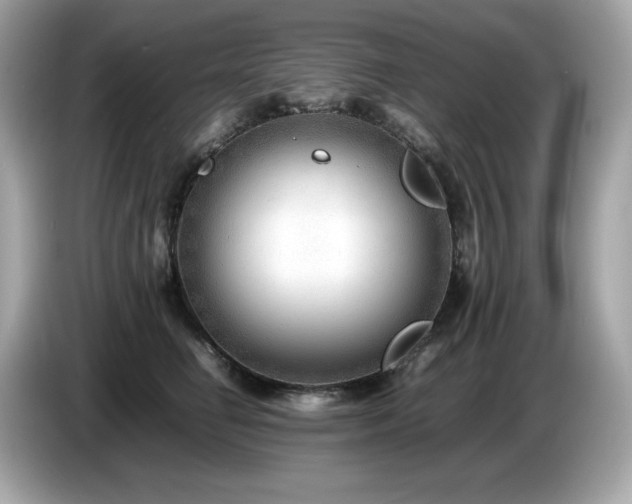 X0000087050662200704181238