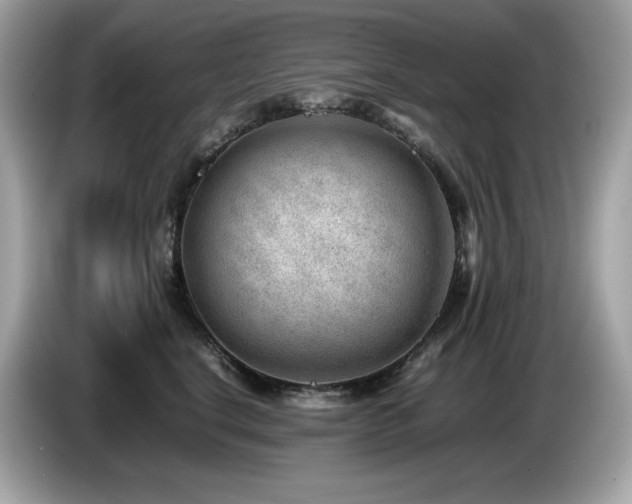 X0000087050664200704181238