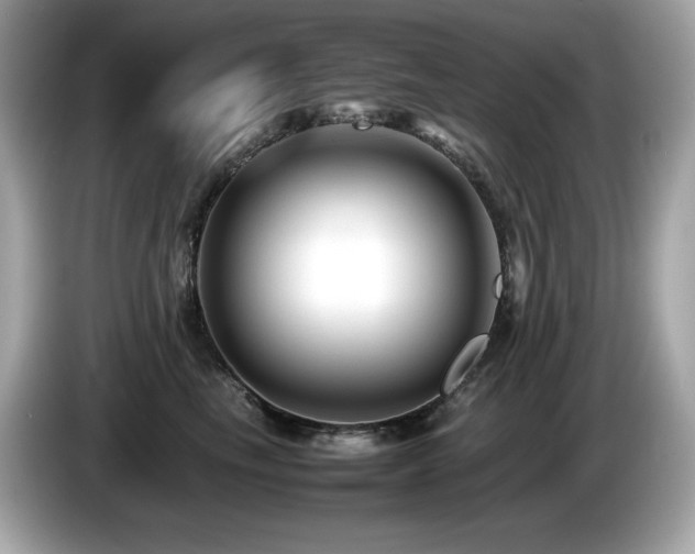 X0000087050665200704181238