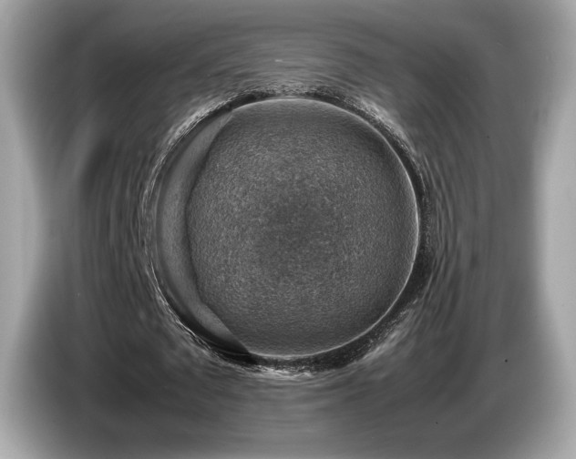 X0000087050673200704181237