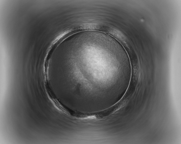 X0000087050674200704181237