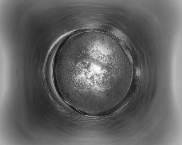 X0000087050676200704181237