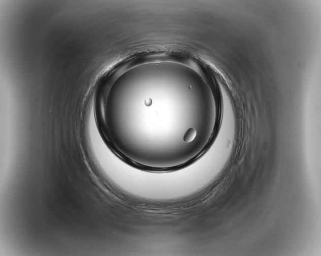 X0000087050677200704181237
