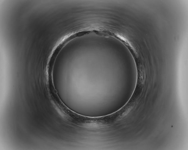 X0000087050678200704181237