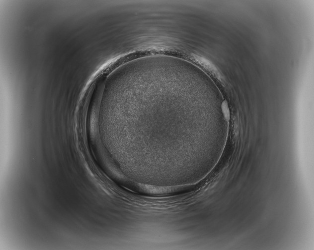 X0000087050680200704181237