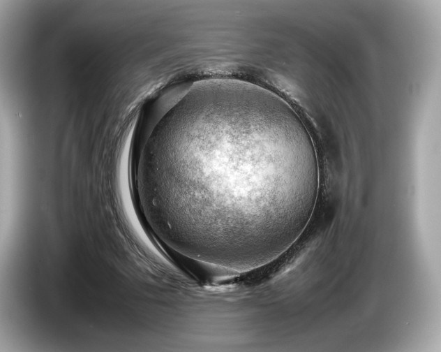 X0000087050681200704181237