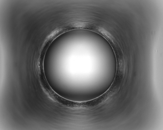 X0000087050682200704181237