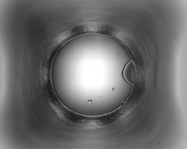 X0000087050683200704181237