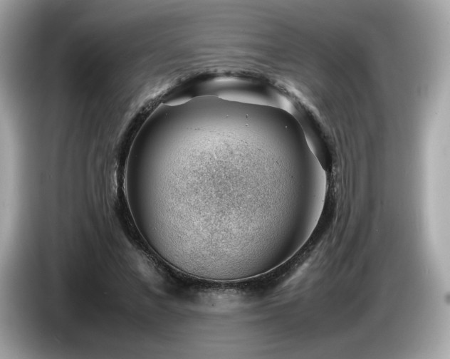 X0000087050685200704181237