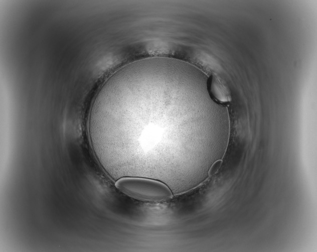 X0000087050687200704181237