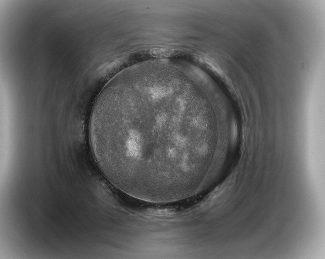 X0000087050689200704181237
