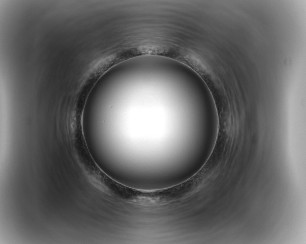X0000087050690200704181237