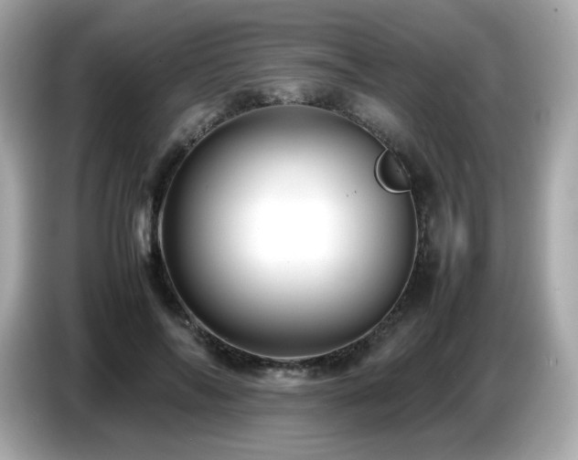 X0000087050694200704181237