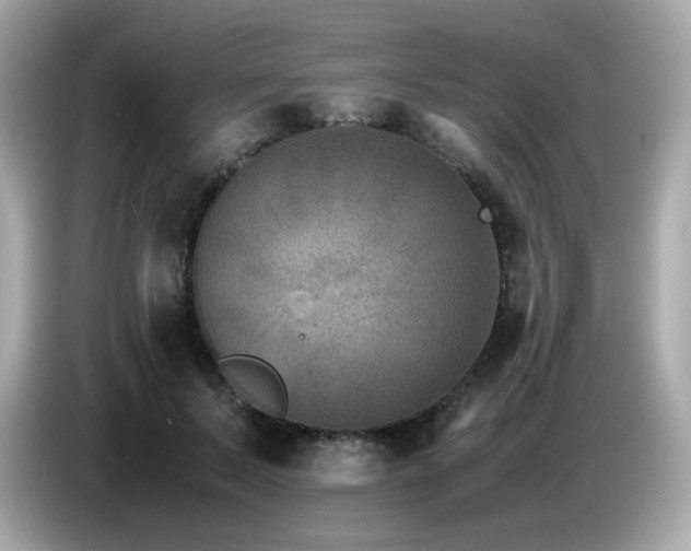 X0000087050695200704181237