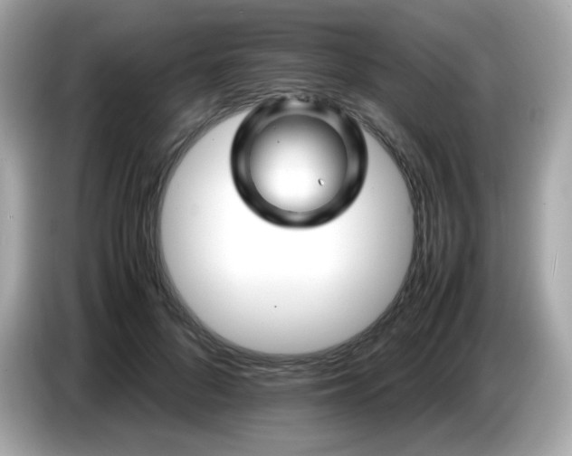 X0000087050696200704181237