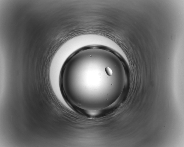 X0000087050699200704181237