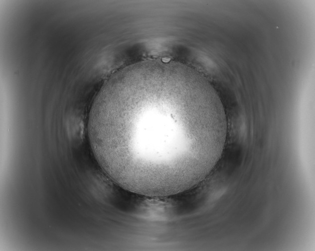 X0000087050703200704181237