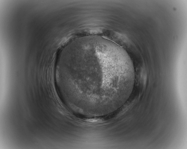 X0000087050704200704181237