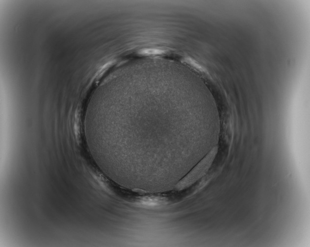 X0000087050708200704181237