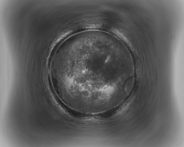 X0000087050721200704181236