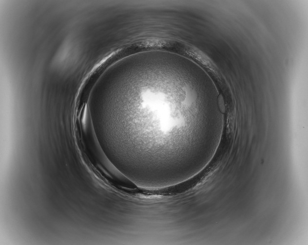 X0000087050722200704181236