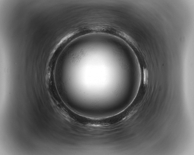 X0000087050723200704181236