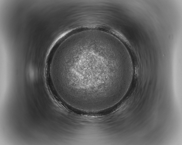 X0000087050724200704181236