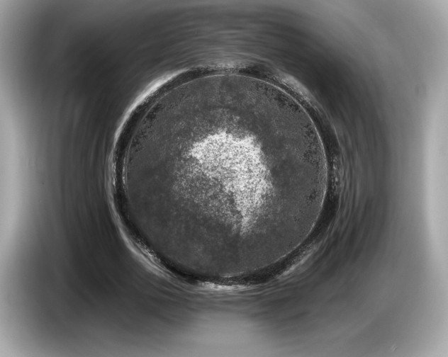X0000087050726200704181236