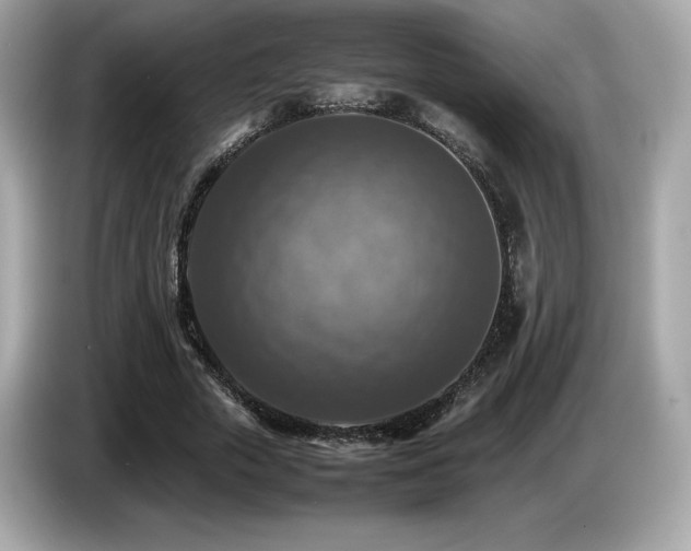 X0000087050729200704181236