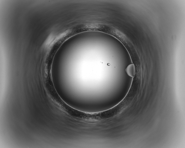 X0000087050731200704181236