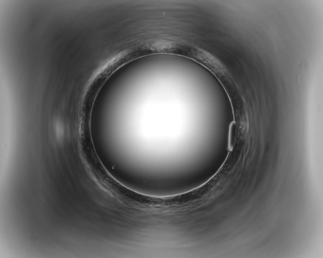 X0000087050732200704181236