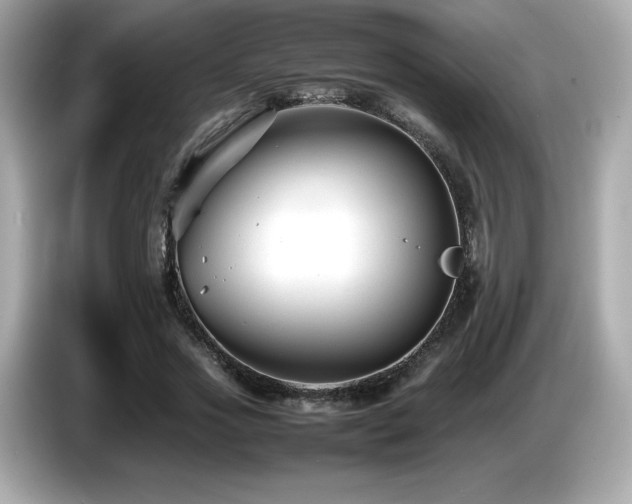 X0000087050733200704181236
