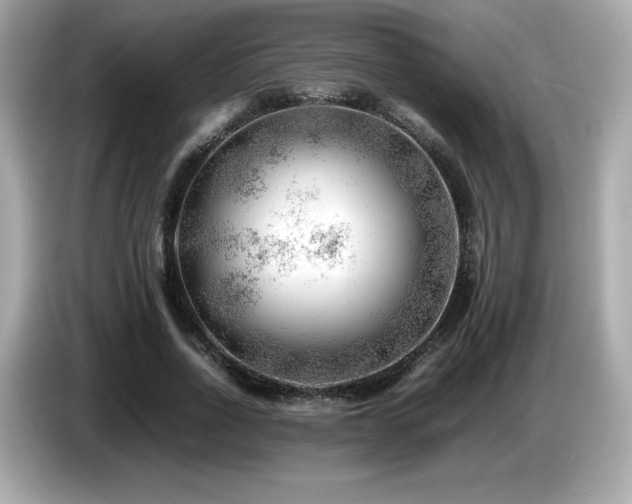 X0000087050734200704181236