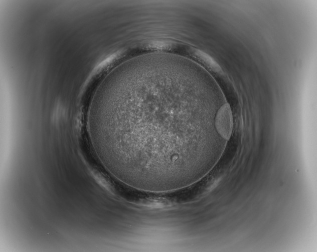 X0000087050736200704181236