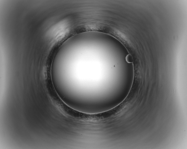 X0000087050738200704181236