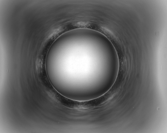 X0000087050739200704181236