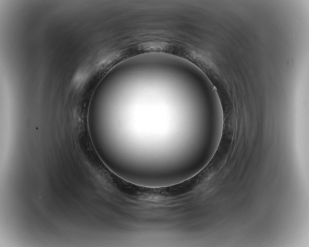 X0000087050743200704181236