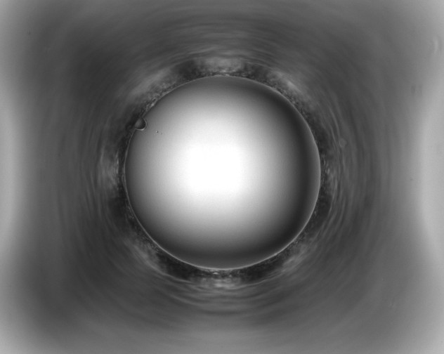 X0000087050745200704181236