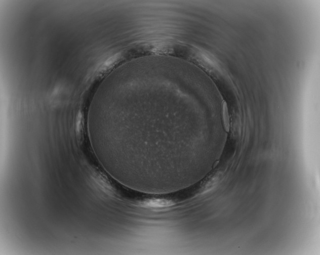 X0000087050748200704181236