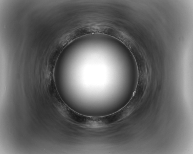 X0000087050749200704181236