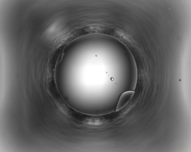 X0000087050751200704181237